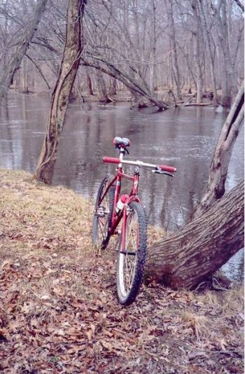 Brian's Red Baron on the river bank