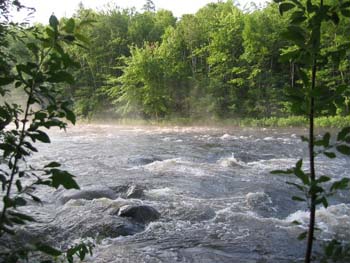 High waters on the Amable du Fond river, close to where it meets the Mattawa