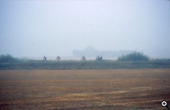 Along the dike